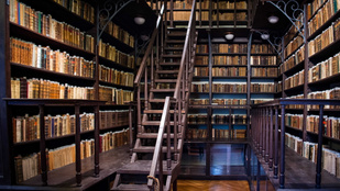 Versenyfutás az idővel, így mentették meg a magyar könyvkincsek legértékesebb darabjait