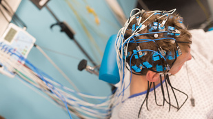 Négyszer válunk új emberré életünk során, teljesen újrahuzalozódik az agyunk