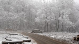 Kiss Noémi: Az ősnéni története
