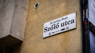 Lemondhatott a Szőlő utcai javítóintézet frissen kinevezett ideiglenes igazgatója