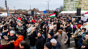 Schrödinger ellenzéke – a Tisza Párt bonyolult lelkivilágáról