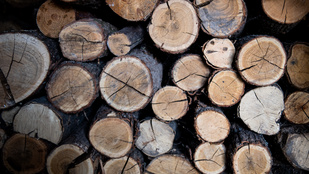 Egyre több család marad hidegben, mert drágul a tűzifa, és a kormány nem emeli meg a keretet