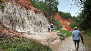 A kistigris felzabálja szomszédait, miközben magán tánciskolába jár