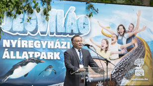 21 Kutatóközpont: Gajdos László a szavazatok mintegy kétharmadát szerezheti meg a választókerületében