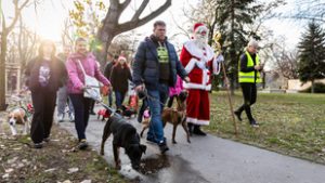 A Mikulás vezényletével zajlott a DOGZ Falkasétája a Városligetben