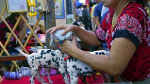 Ebben az ázsiai nagyvárosban már tilos kutya-, macska- és denevérhúst árulni