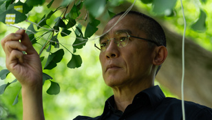 Teltházas premier előtti vetítések 18 városban, már látható a díjnyertes magyar alkotás