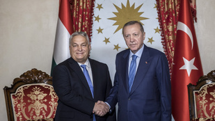 Orbán Viktor üzletet csinált, eladott 600 lovat a törököknek