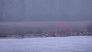 Egyenruhás orosz katonák átlépték a NATO határát