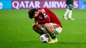 Vig György: Hakapeszi megunta