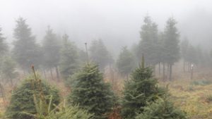 Fordulatot hozhat az időjárásban a szenteste, így robbanhat be a tél az ünnepek környékén