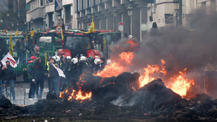 Nemzeti Agrárgazdasági Kamara: Nem hagyjuk, hogy az Európai Bizottság tönkretegye az agráriumot