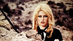 Érdekességek Bridget Bardot életéből, amiről csak nagyon kevesen tudtak