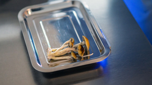 Erre a tiltott drogra esküsznek a mentális betegek