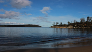 Titokzatos rózsaszín iszap jelent meg a népszerű vízparton