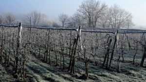 A brüsszeli tervek a magyarok tányérján is érezhetőek lesznek
