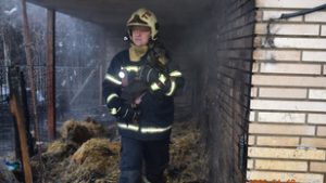 Tűz keletkezett egy tatabányai házban, a tűzoltók a család mellett három kutyát is kimentettek