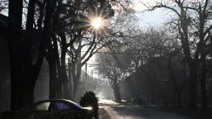 Folytatódik a tavaszi melegedés, 14 fok is lehet