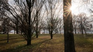 Teljesen megőrül az időjárás, tavasz után havazás jöhet