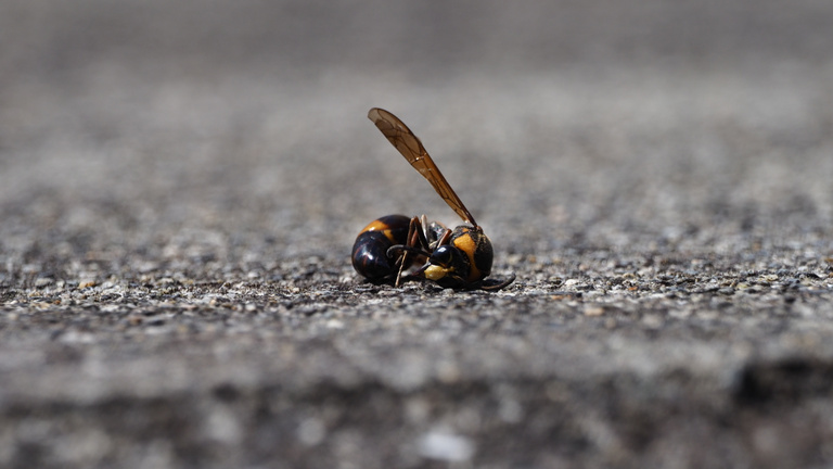 A csend bizonyítja, hogy beléptünk az összeomlás előszobájába