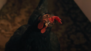 Kilencvenhat percen keresztül néztük a legdögösebb tyúkot