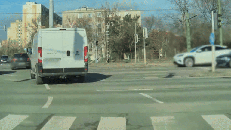 Felvételek, amelyek bizonyítják, hogy az emberi hülyeségnek csak alsó határa van