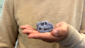 Felfedezték a világ egyik legkisebb, legcukibb dinoszauruszfaját